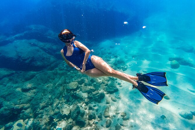 Cabo Tour to the Arch and Whale Watching, Live 3 Excursions for the Price of One - The Sum Up