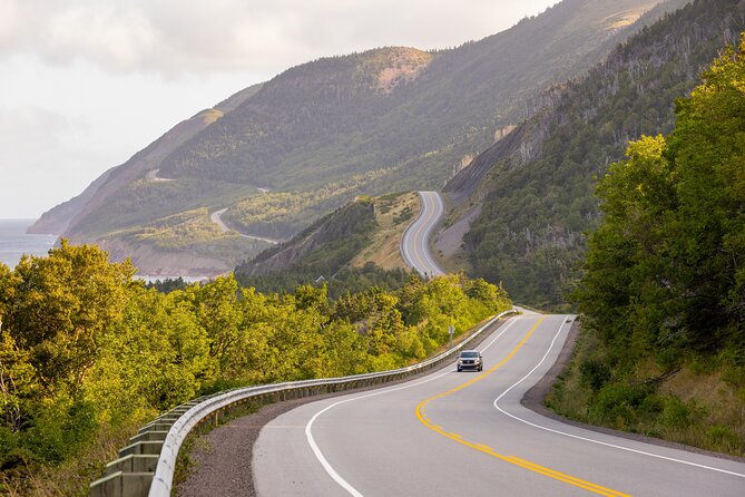 Cabot Trail Bus Tour for Cruise Excursion - Tour Description and Expectations