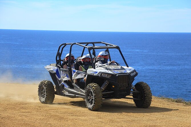 Cactus Combo Combine Two of Your Favorite Desert Tours - Booking Information
