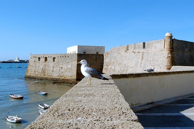 Cadiz Private Walking Tour - Directions and Recommendations