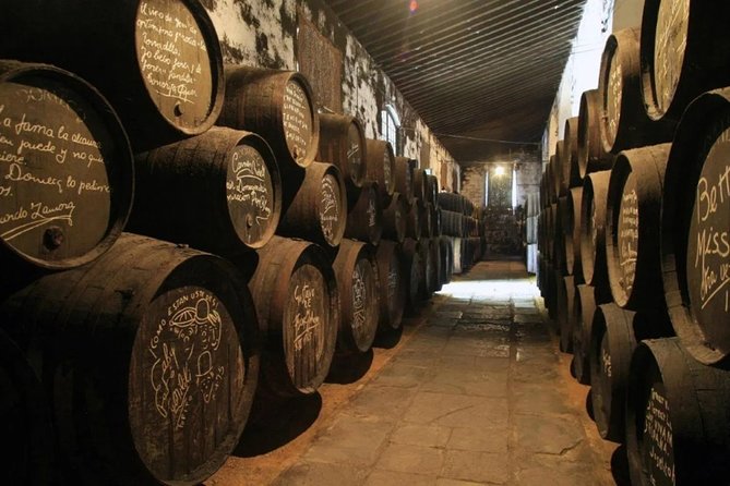 Cadiz Shore Excursion: Jerez & Cadiz Easy Accessible Private Tour & Wine Cellars - Common Questions