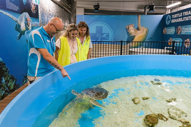 Cairns Aquarium General Admission and Turtle Hospital Tour - Common Questions