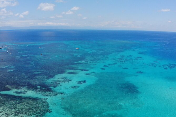 Cairns, Great Barrier Reef & Rainforest 7 Day Tour. - Activities and Excursions