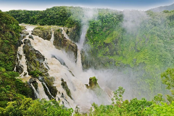 Cairns Private Barron Gorge National Park Tour  - Cairns & the Tropical North - Reviews