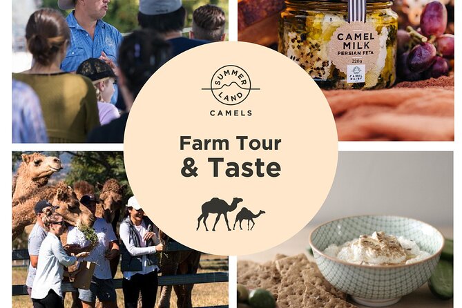 Camel Farm Tour and Taste - Reviews and Additional Information