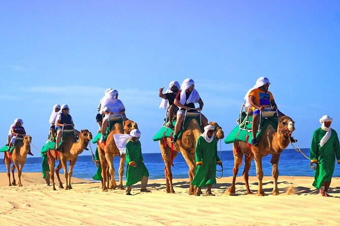 Camel Ride & Encounter at Los Cabos - Mexican Cuisine Lunch