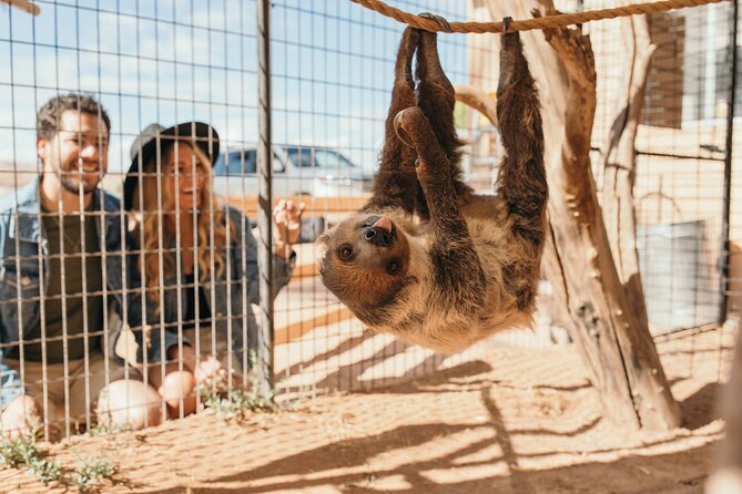 Camel Safari - Camel Ride and Zoo Tour - Enjoyable Experiences With Exotic Animals