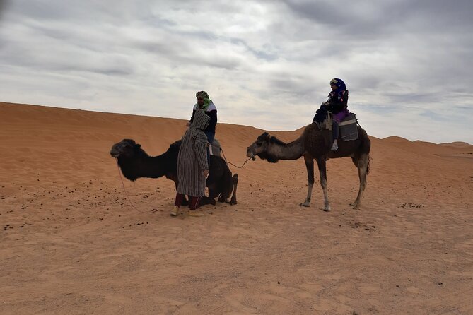 Camell Night Desert Camp - Accommodation at Camell Night Desert Camp