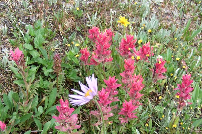 Canadian Rockies Hiking Adventure in Kananaskis Provincial Park - The Sum Up