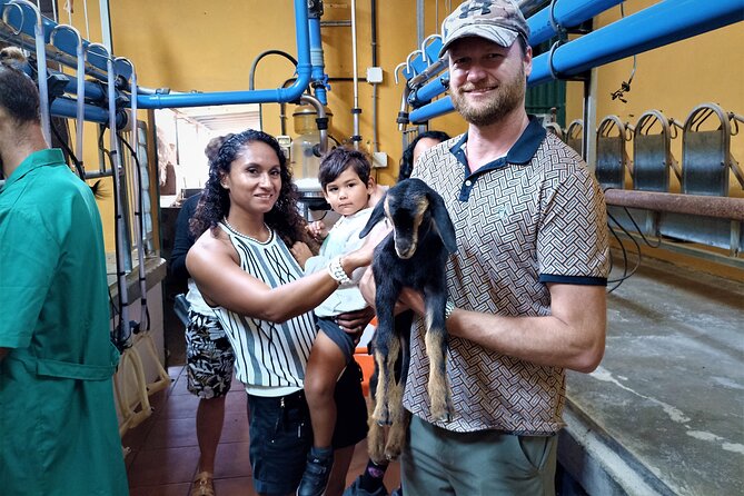 Canarian Animal Farm Car Tour. Goat Cheese and Local Wine. - Engaging Farm Activities for All Ages