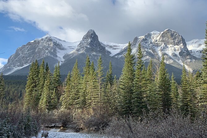 Canmore: Into the Mountains - 4hr Wildlife Safari Drive & Walk - Overview and Experience