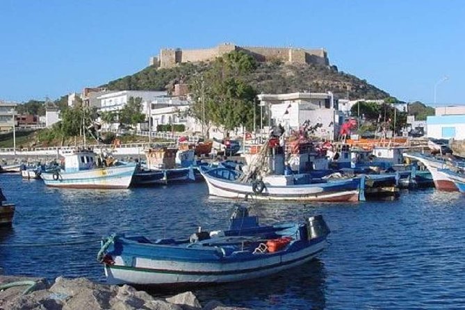Cap Bon Guided Day Tour From Tunis - Tour Inclusions
