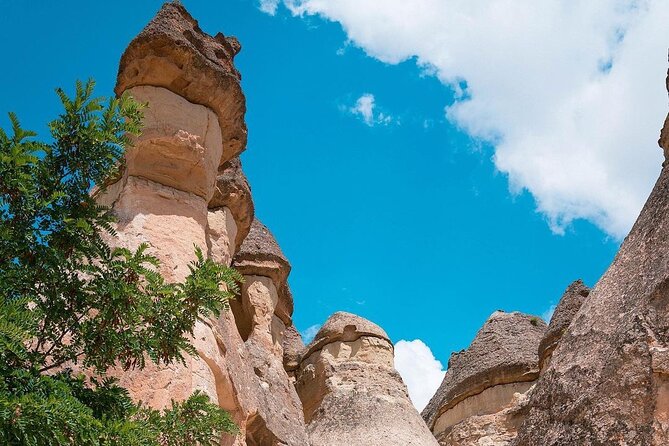 Cappadocia Private Tour - Reviews