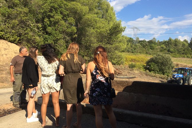 Carcassonne Private Half-Day Winery Visits and Tasting - Common Questions