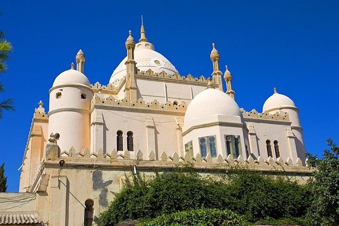 Carthage Discovery Half-Day Tour From Tunis or Hammamet - The Sum Up