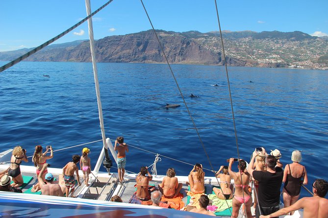 Catamaran Sunset Cruise From Funchal - The Sum Up