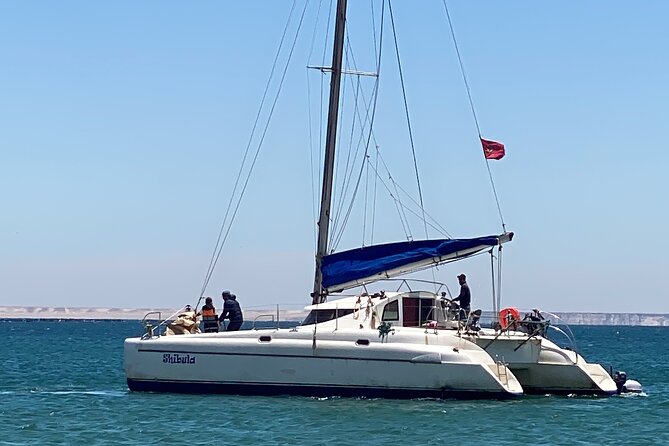Catamaran Trip in the Big Bay of Dakhla - Directions and Recommendations