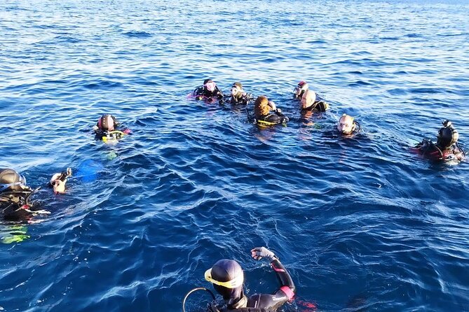 Catania: Scuba Diving Experience - Diving Among White Sand and Volcanic Rocks
