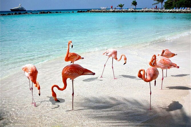 Celestun Beach and Mangrove Boat Ride From Merida - Personal Recommendations