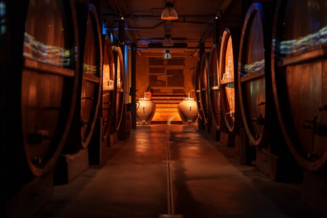 Cellar Visit and Gourmet Wine - Tea Time Around Wine - Affordable Rates