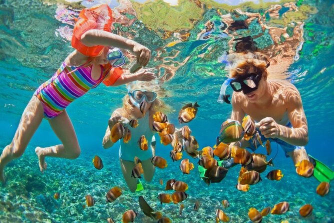 Cham Island Daily Tour - Snorkeling Experience - Cancellation Policy Details