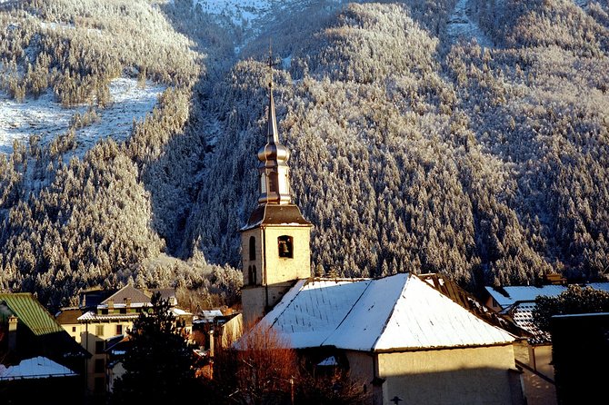 Chamonix Day Trip and Geneva City Tour - Convenience and Benefits