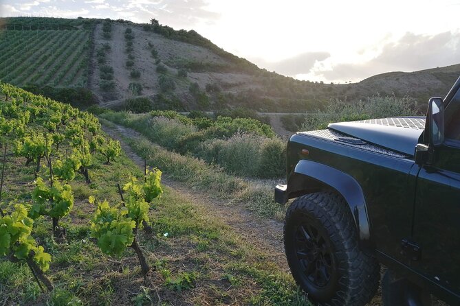 Chania Sunset Safari Tour - Weather and Cancellation Policy