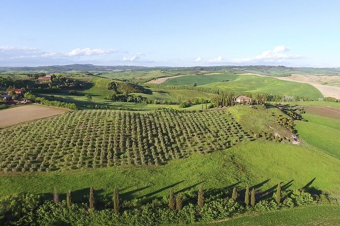 Chianti Wine Tour From Florence - Tour Highlights and Company Commitment