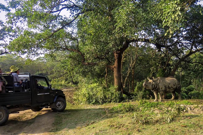 Chitwan Tour Packages - Terms & Conditions
