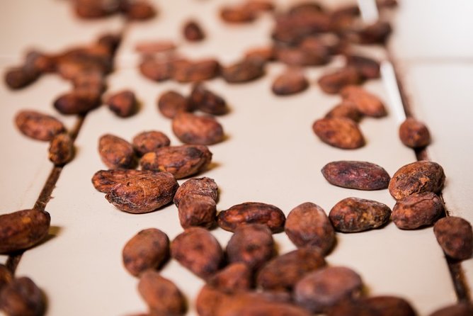 Chocolate Making Class "From the Cocoa Bean to the Bar" at Chocomuseo in Cusco - The Sum Up