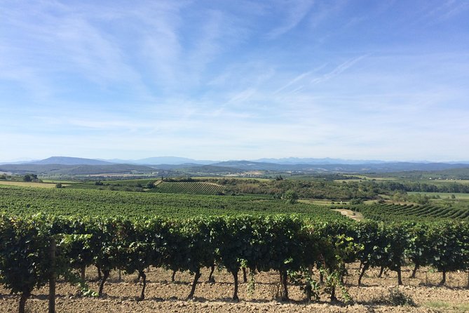 Cité De Carcassonne and Wine Tasting Private Day Tour From Toulouse - Booking and Pricing Details