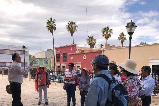 City Tour - Scenic Views and Photo Opportunities