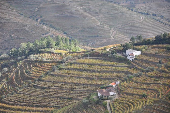 Classic Wine Tasting With GUIDED TOUR - Traveler Photos of the Experience