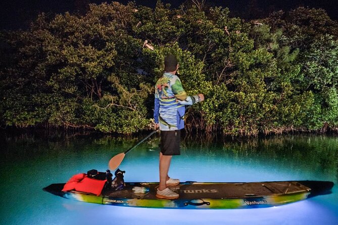 Clear Kayak LED Night Glass Bottom Tour - Sarasota - Directions