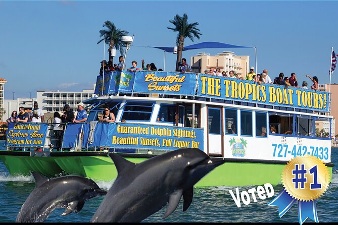 Clearwater Bay, Gulf Coast Dolphin Watching Cruise - Captains Insights and Interesting Facts