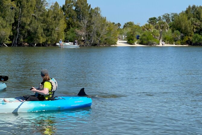 Cocoa Beach Sunset Kayak or Stand-Up Paddleboard Tour - Directions