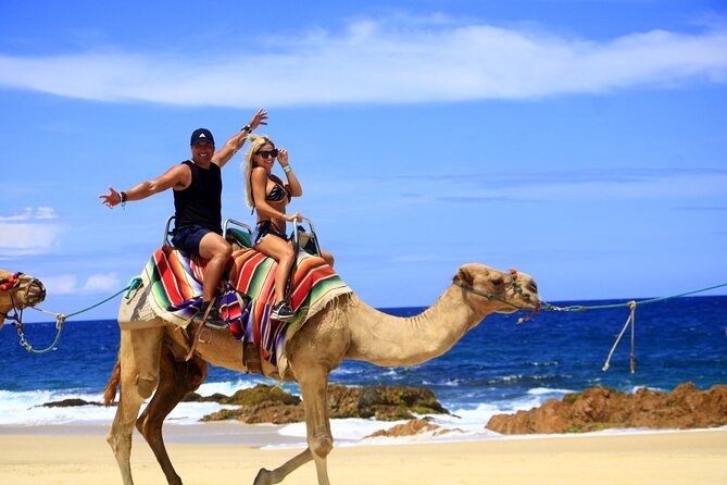 Combo Camel Ride and Extreme Side by Side in Cabo - Cancellation Policy and Reviews