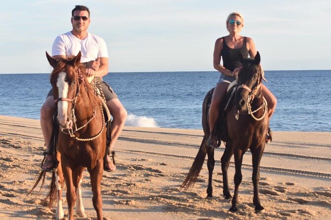 Combo Double Atv Horses - Additional Information