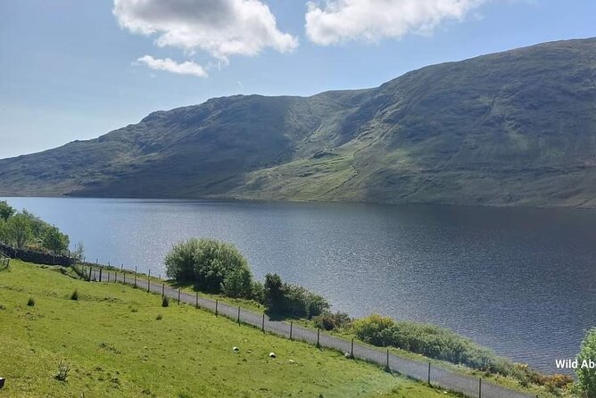 Connemara Sheep Farm Experience & Kylemore Abbey by Lux Limousine - Discovering the Beauty of Kylemore Abbey