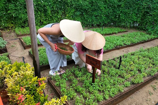 Cooking Class Hoi An - Organic Garden - Farming Tour - Cancellation and Refund Policy