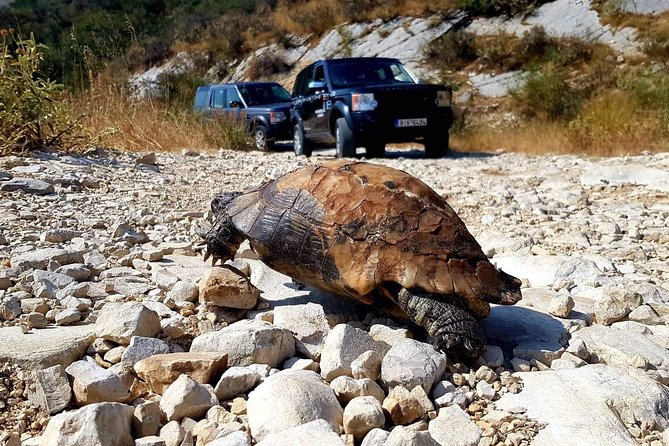 Corfu Shore Excursion to Mount Pantokrator With Lunch - Cancellation Policy and Refund Details