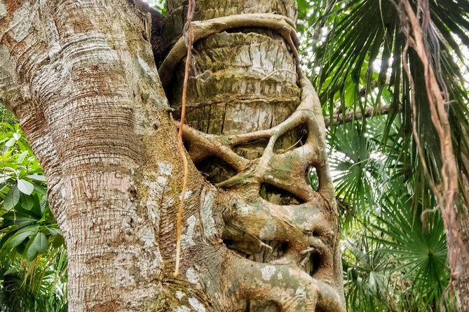 Costa Maya Shore Excursion: Chacchoben Day Trip - Value for Money and Recommendations