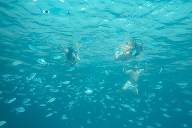 Costa Smeralda Snorkeling Private Boat Tour - Expert Tips for a Memorable Experience