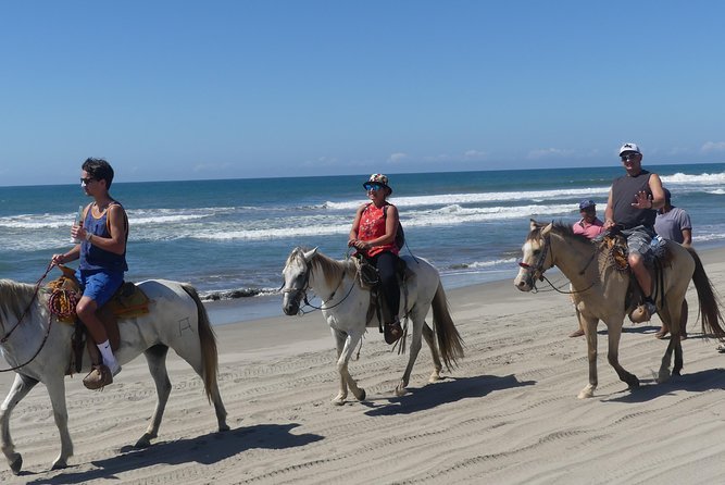 Countryside Boat Ride Beach-Horseback Ride Turtle Release - Crocs - Turtle Release and Crocs Encounter