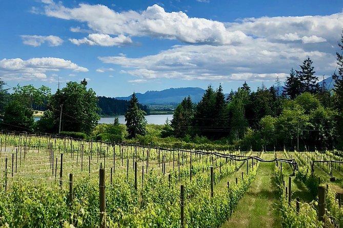 Cowichan Valley Premium Wine Tour - Tour Highlights