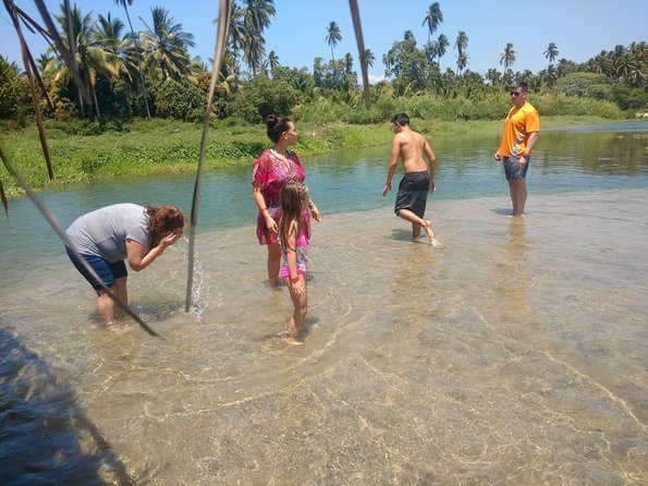 Coyuca Lagoon Countryside Baby Turtle Release Lunch & Boat Ride - Baby Turtle Release Experience