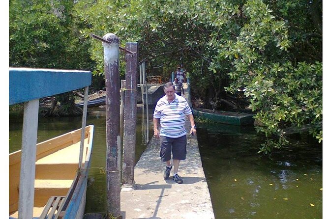 Coyuca Lagoon Tour in Acapulco - Lush Vegetation and Calm Waters