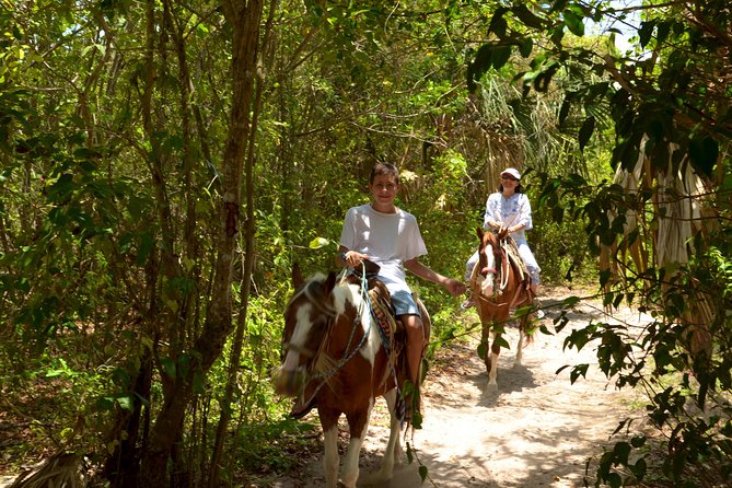 Cozumel Beach Horseback Riding Tour - Cancellation Policy and Reviews