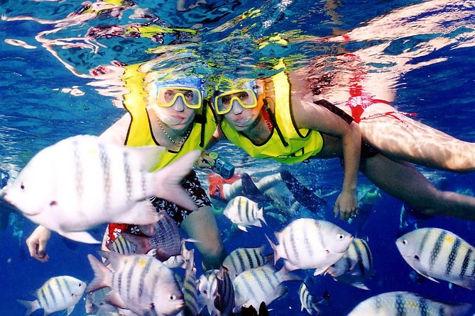 Cozumel & Snorkel Day Trip From Cancun - Snorkeling Experience and Feedback