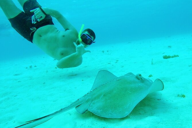 Cozumel Snorkeling Tour: Starfish, Stingrays and the Turtle Bay Experience - Pricing and Additional Information